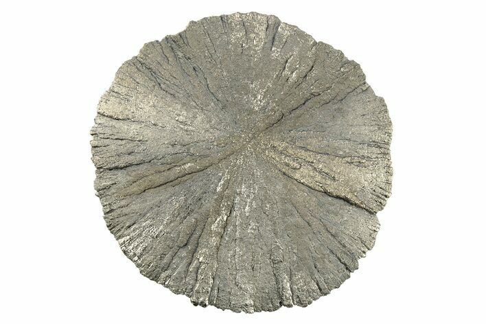 Radiant Pyrite Sun - Sparta, Illinois #342520